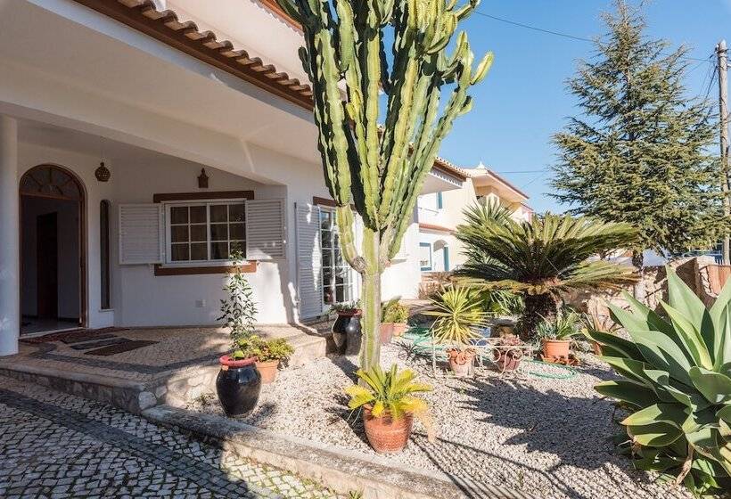 Dipti S Bed And Breakfast