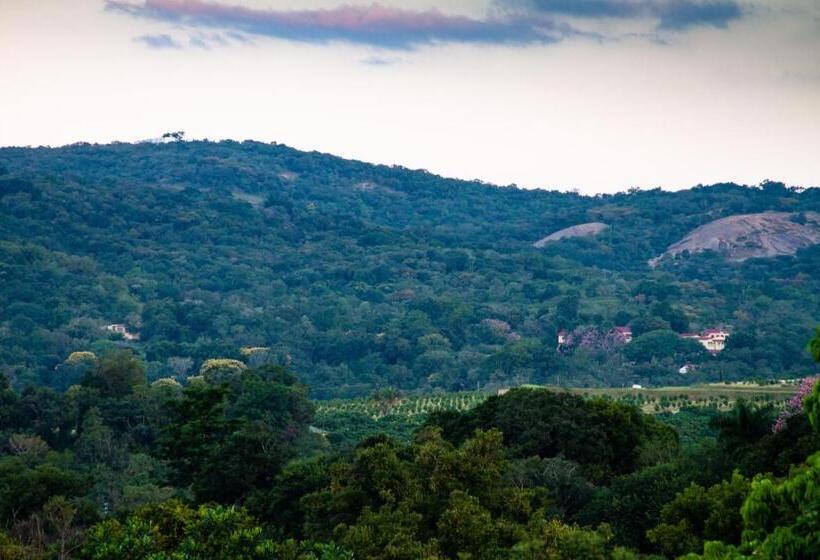 Hotel Masasana’s Rest