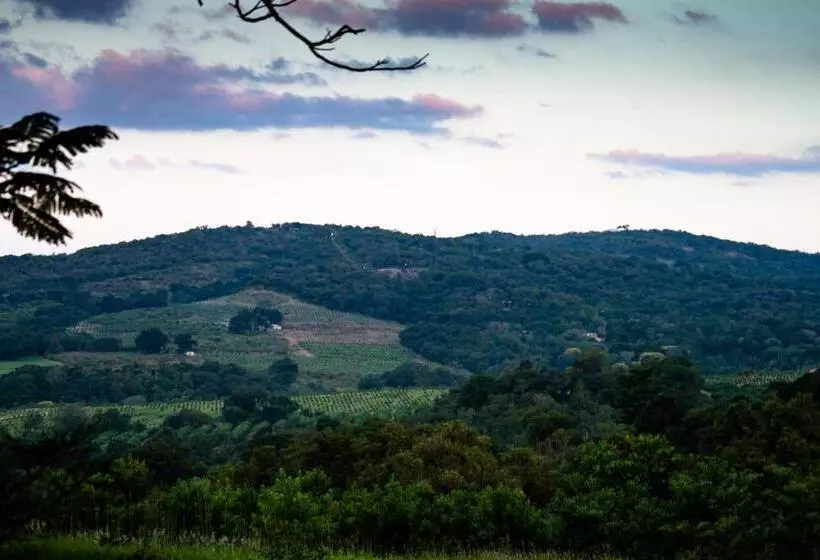 Hotelli Masasana’s Rest