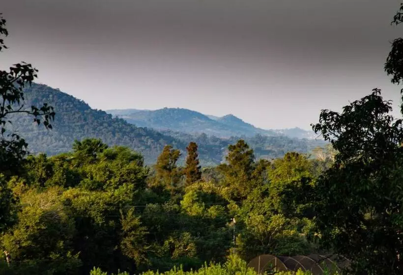 Hotelli Masasana’s Rest