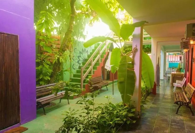 Hotel Pousada Do Cacau