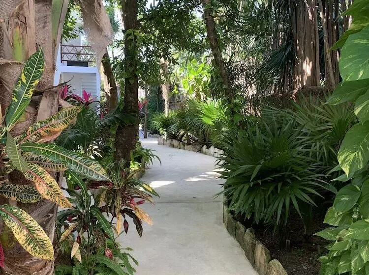 Nativa Hotel Tulum