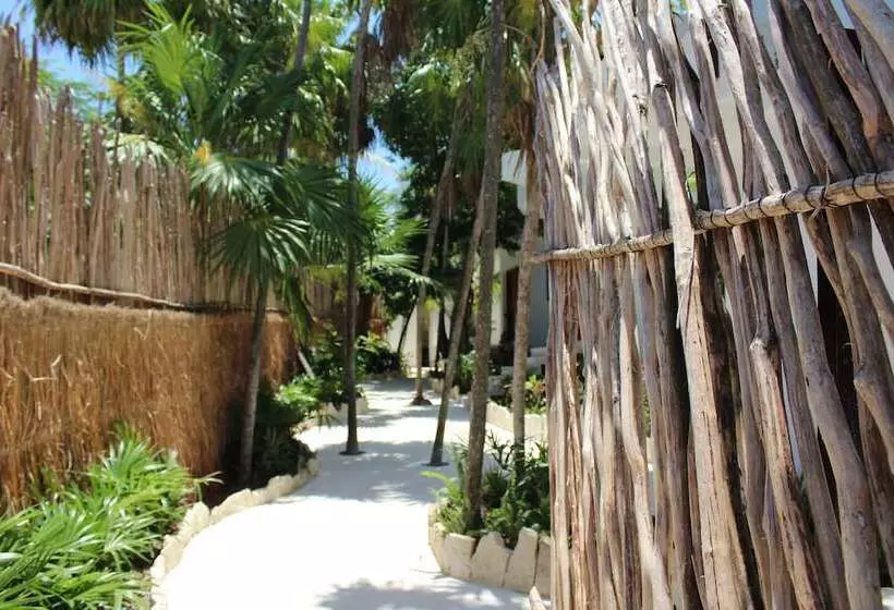 Nativa Hotel Tulum