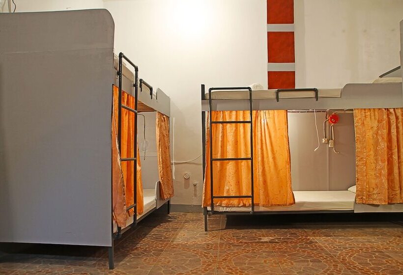 Vandrarhem Mario S Travellers Inn