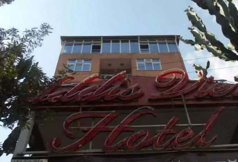 هتل Addis View