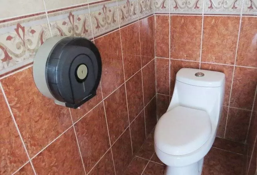 هتل Royal Puebla