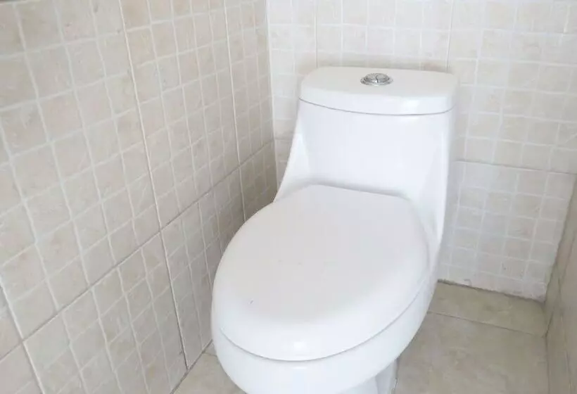 هتل Royal Puebla