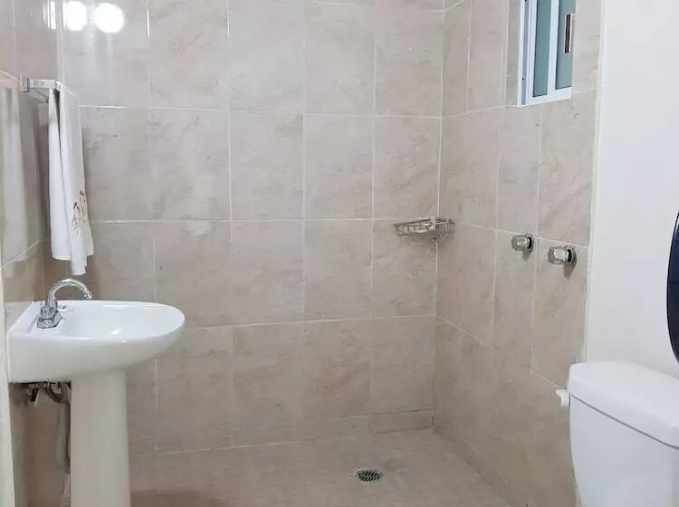 هتل Royal Puebla