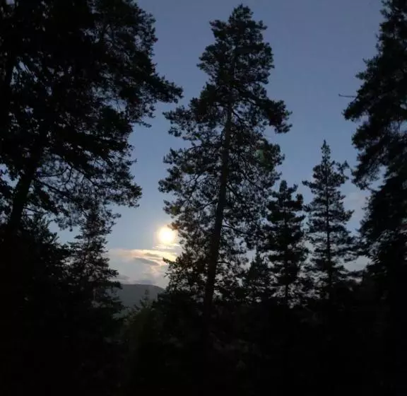 Hotelli Wald Nachtigall