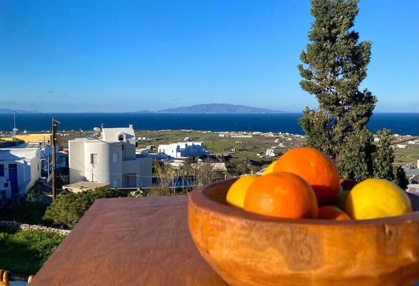 ペンション Edem Boutique