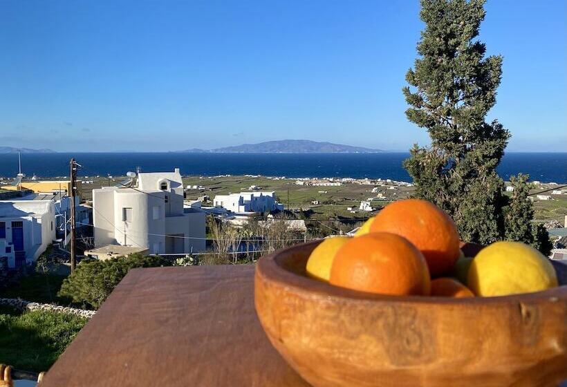 ペンション Edem Boutique