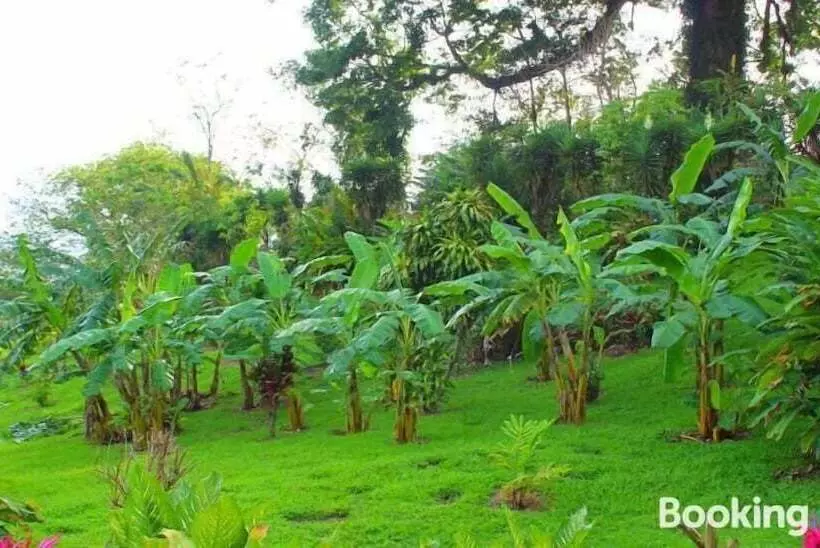 Hotelli Ceiba Tree Lodge