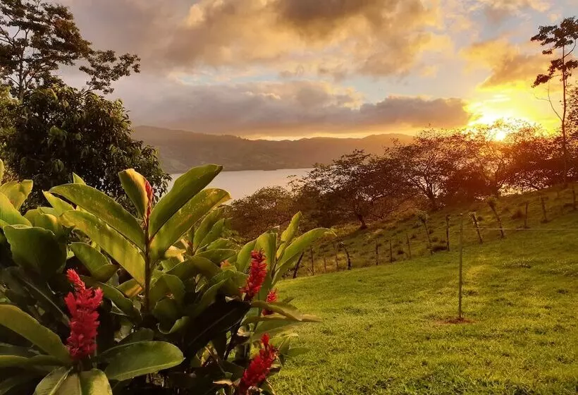 Hotelli Ceiba Tree Lodge