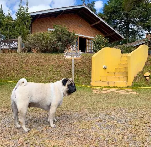 ホテル Pousada Villa Do Luar