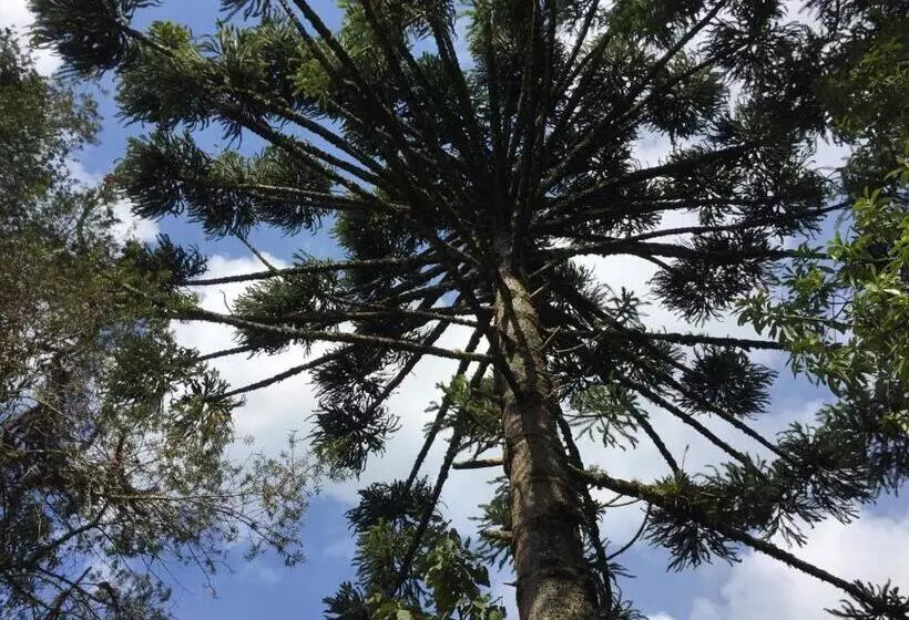 ホテル Pousada Villa Do Luar