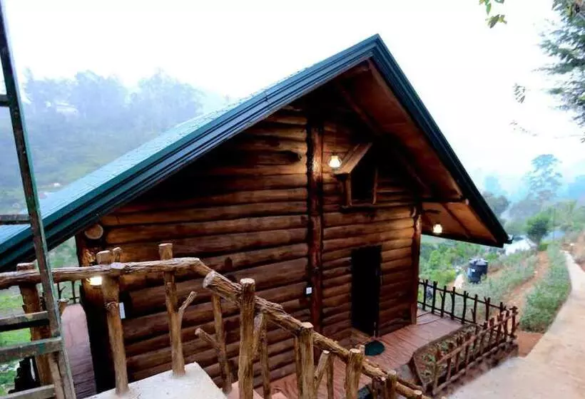 Top Mountain Resort