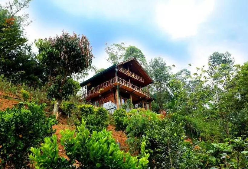Top Mountain Resort