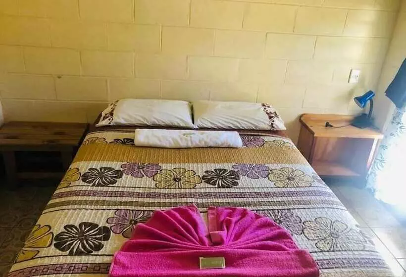 Transit Motel   Hostel