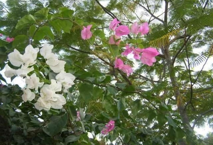 هتل Gite L Anarcadier