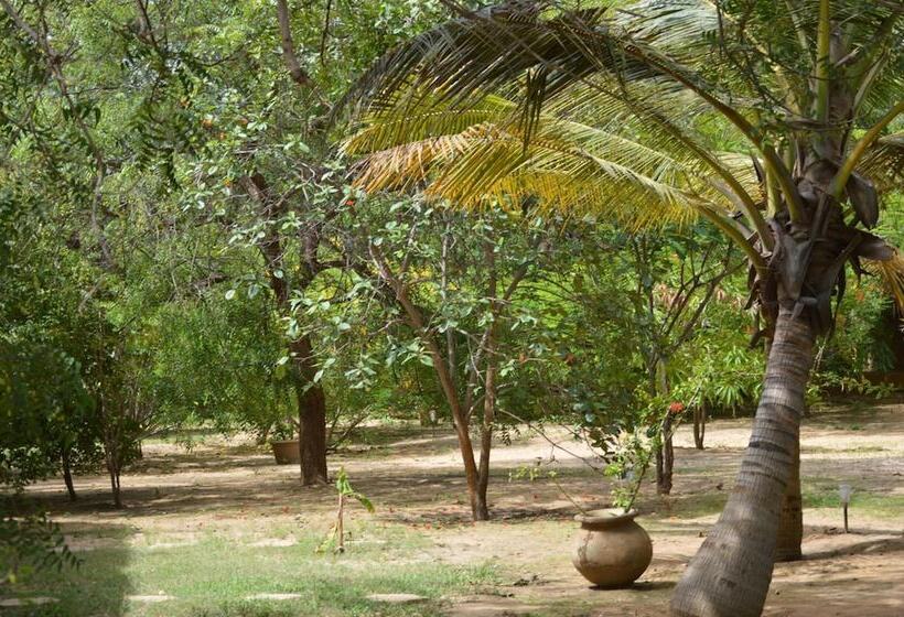 هتل Gite L Anarcadier