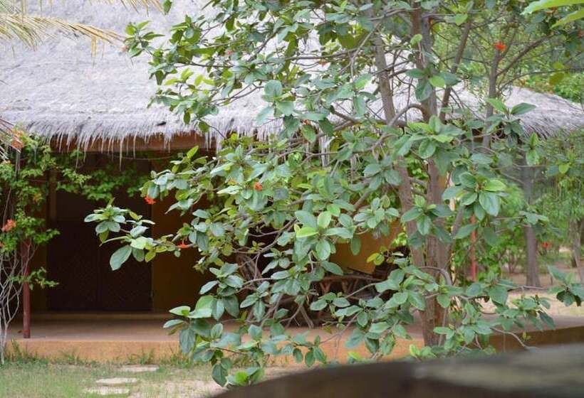 هتل Gite L Anarcadier