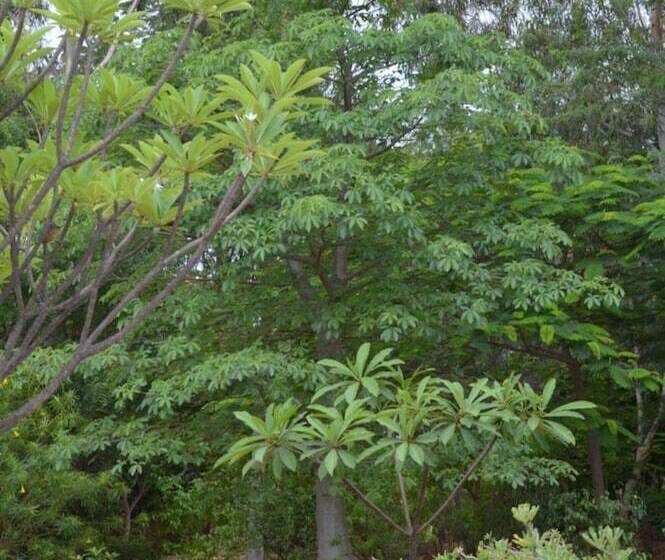 هتل Gite L Anarcadier