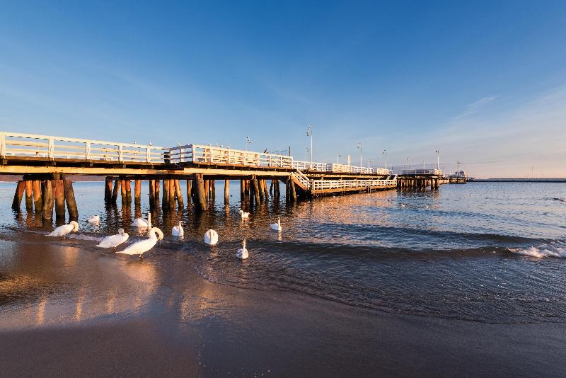 فندق Holiday Inn Gdansk   City Centre, An Ihg