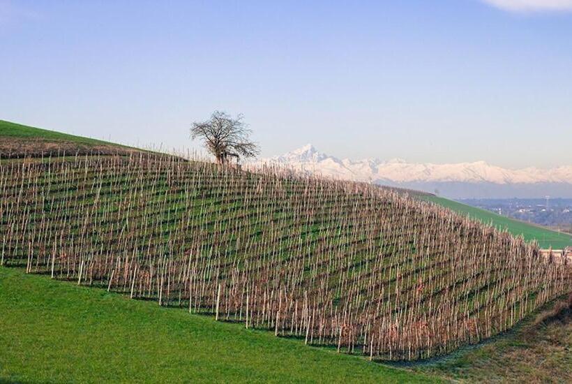 בית מלון כפרי Agriturismo Minaldo