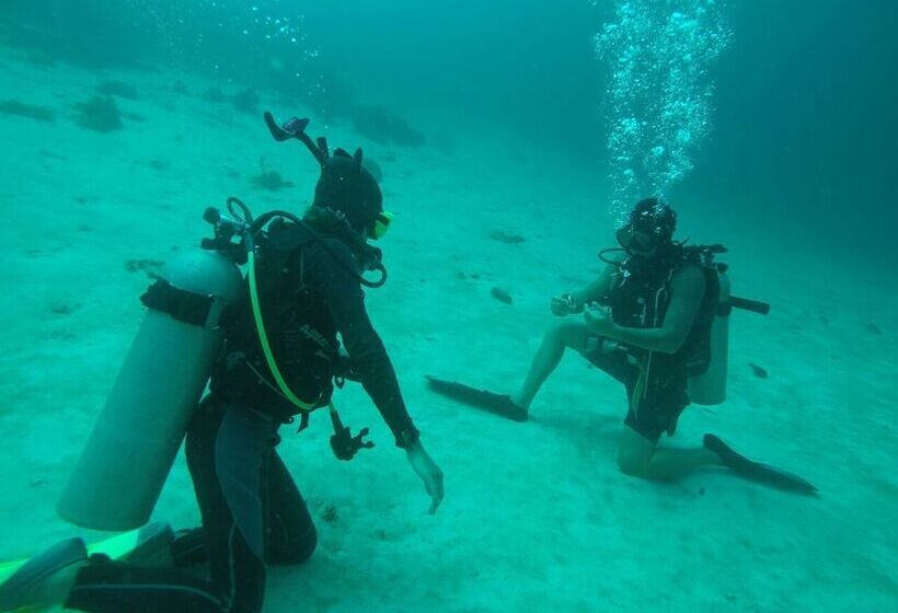 Yellow Duckling Hostel