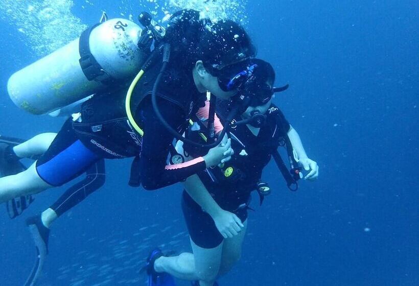 Yellow Duckling Hostel