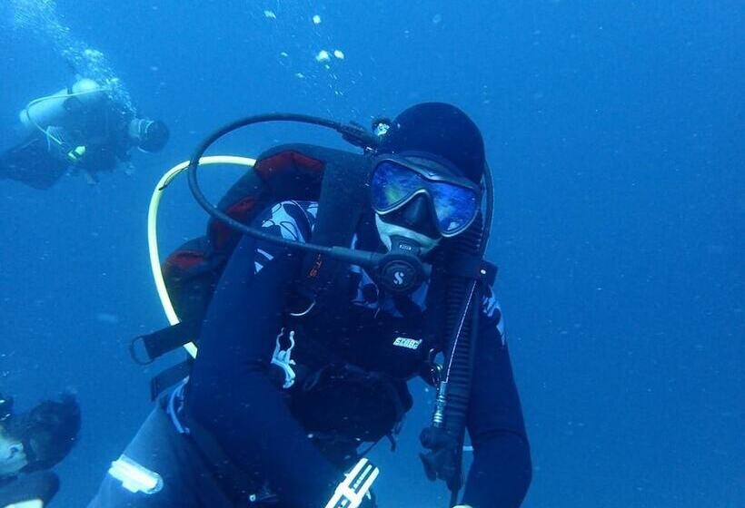 Yellow Duckling Hostel