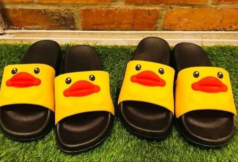 Yellow Duckling Hostel