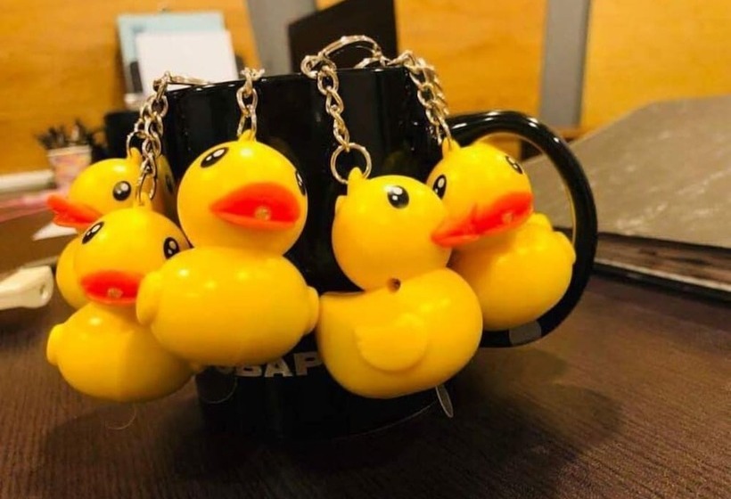 Yellow Duckling Hostel