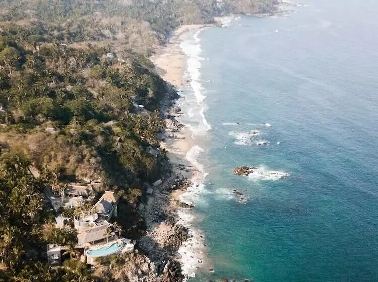 Florence Sayulita