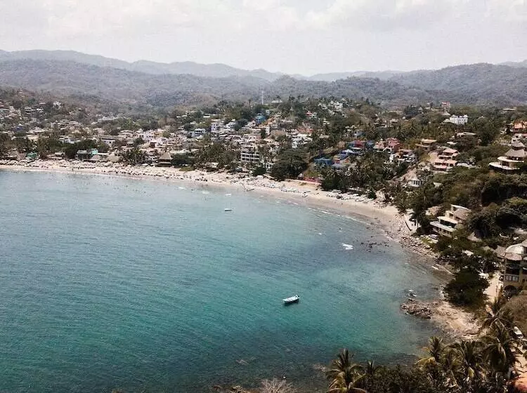 Florence Sayulita