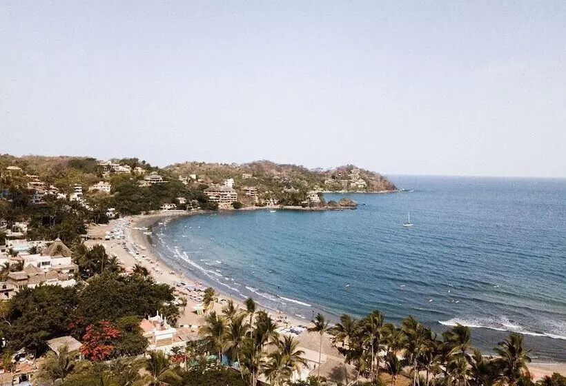 Florence Sayulita