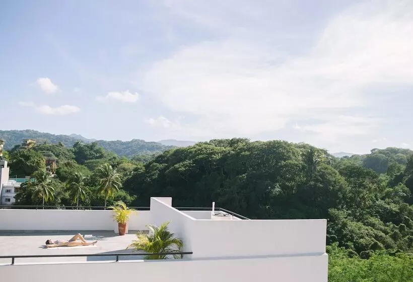 Florence Sayulita