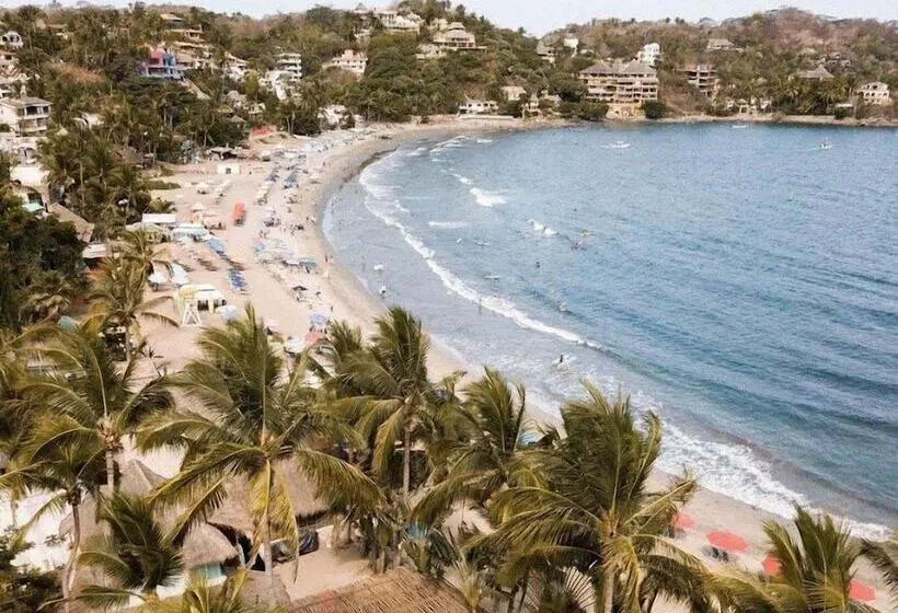 Florence Sayulita
