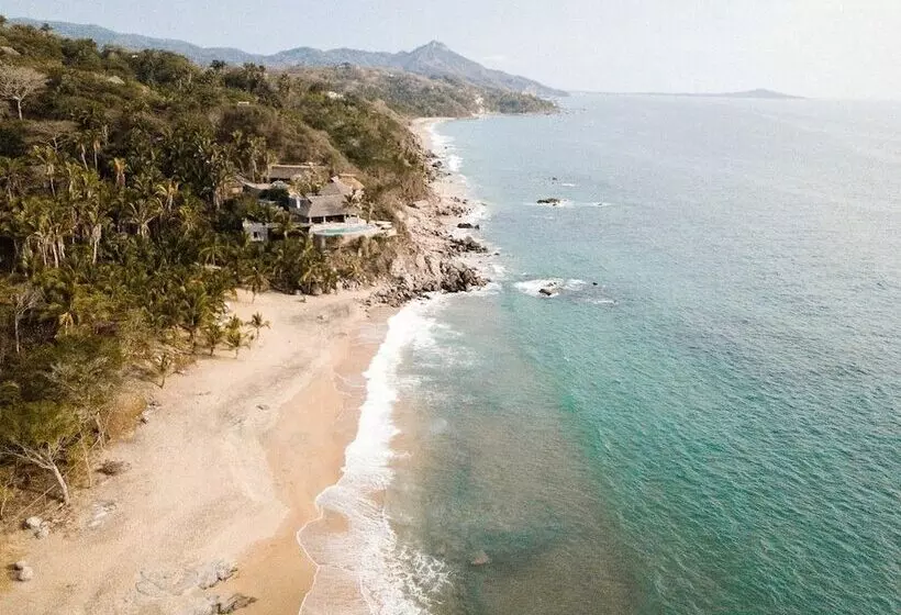 Florence Sayulita