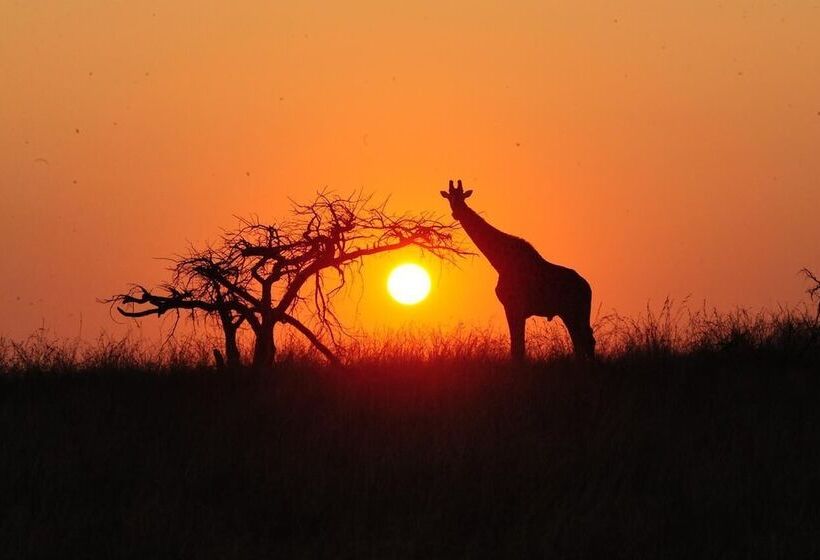 ホテル Esiweni Luxury Safari Lodge