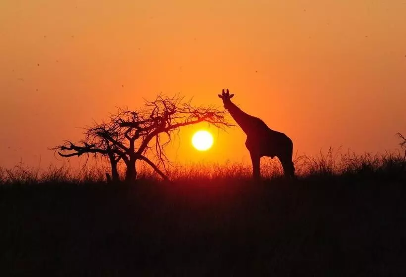 ホテル Esiweni Luxury Safari Lodge