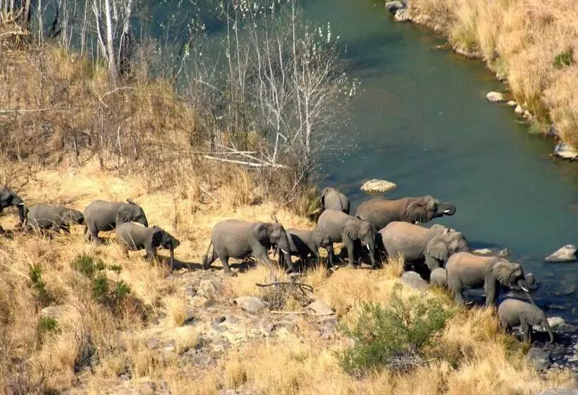ホテル Esiweni Luxury Safari Lodge