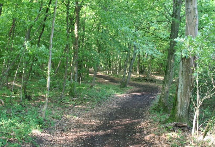 בית מלון כפרי Sportpark