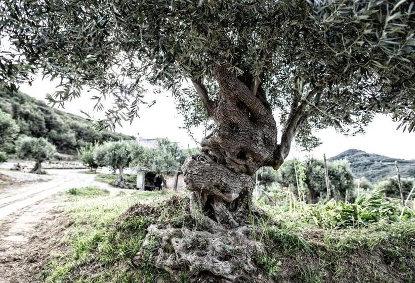 פונדק Borgo Rosso Di Sera Resort