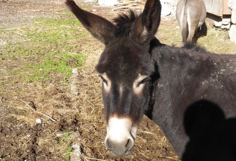 膳宿费 Gasthof Fallmühle