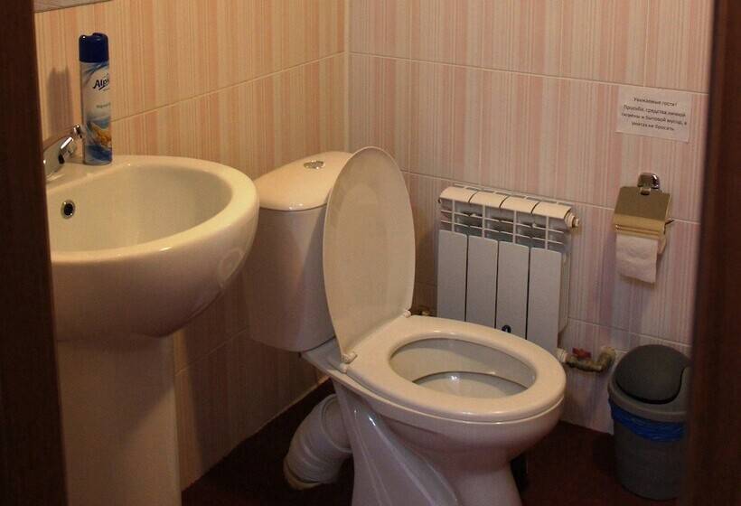 בית מלון כפרי Baden Baden