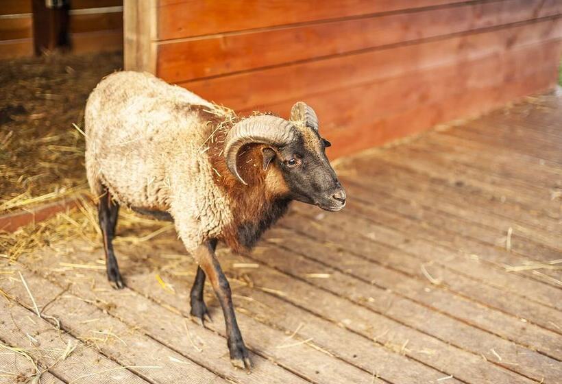 בית מלון כפרי Baltic Natur Park   Holiday Resort