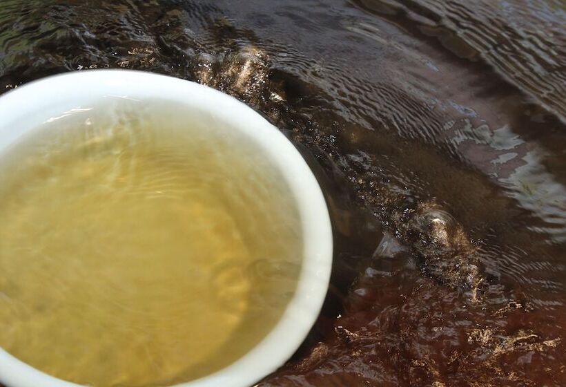 ريوكان Tsurunoya