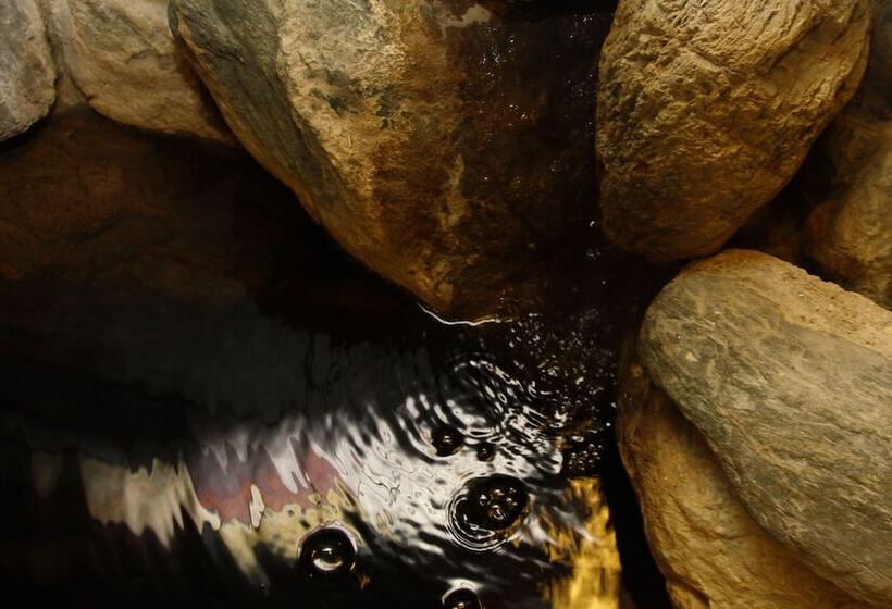 ريوكان Tsurunoya