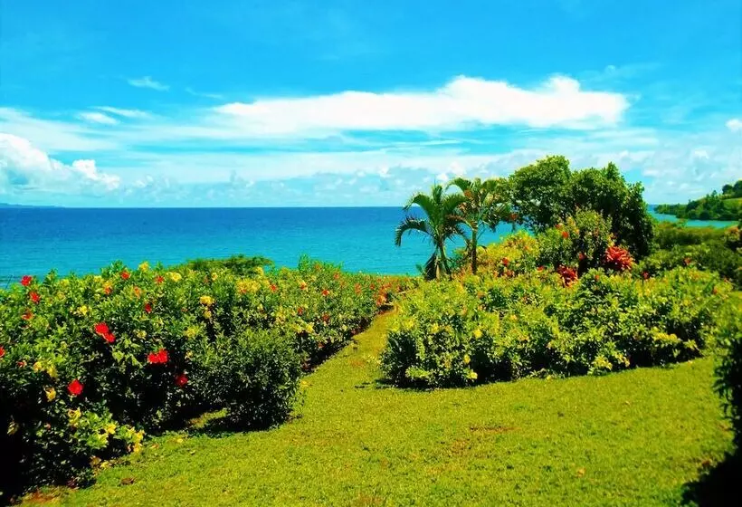 Aamiaismajoitus (B&B) Makaira Resort